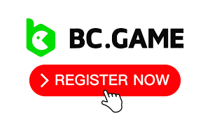 Comprehensive Overview of the BC App Features and Benefits -902996684 Comprehensive Overview of the BC App Features and Benefits -902996684