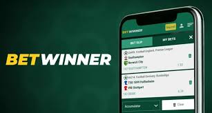 BetWinner Bonus Guide Unlocking the Best Bonuses for You BetWinner Bonus Guide Unlocking the Best Bonuses for You
