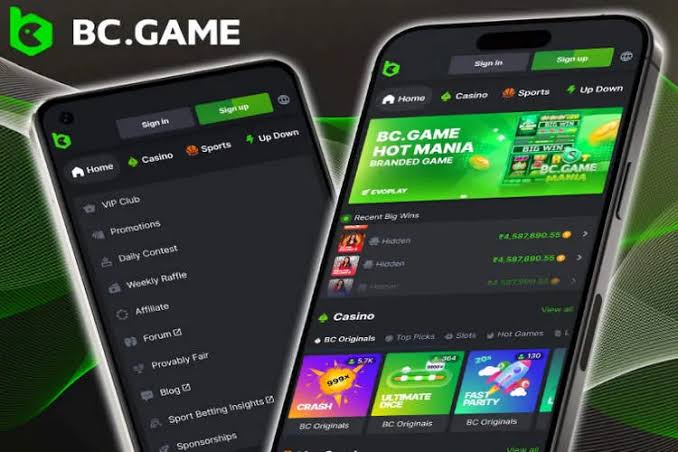 BC.Game Mirror Login A Comprehensive Guide BC.Game Mirror Login A Comprehensive Guide